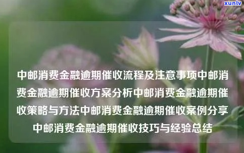 被中邮消费金融怎么办-被中邮消费金融怎么办呢