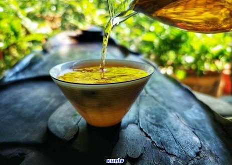 普洱茶的全面分类与品种解析：了解普洱茶的各种类型及特点