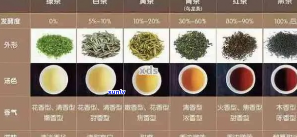 普洱茶的六大种类及其特点解析：了解不同种类普洱茶的品质与口感