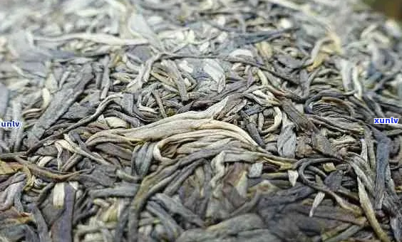 普洱茶的五大分类：生茶、熟茶、散茶、砖茶与沱茶，你了解吗？