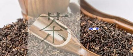 普洱茶怎么保藏比较好：保存 *** 与技巧，让你品尝更美味的普洱茶！