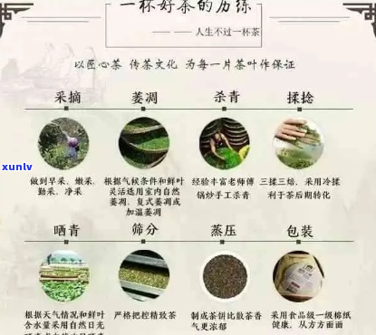 全面对比：寻找价格适中且品质优良的普洱茶