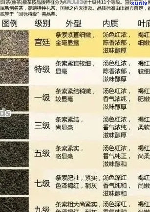 优质普洱茶推荐：对比分析哪个的普洱茶更值得购买