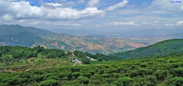 探寻滇西茶区：地域特色与独特茶山一览