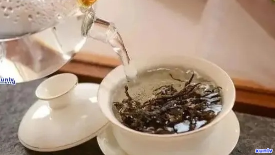 普洱茶的冲泡 *** ：煮还是泡？