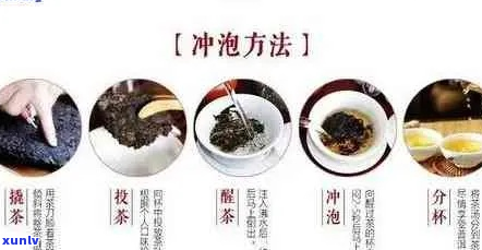 普洱茶的冲泡 *** ：煮还是泡？