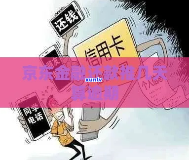 京东金融未逾期协商还款的具体步骤是什么-京东金融未逾期协商还款的具体步骤是什么