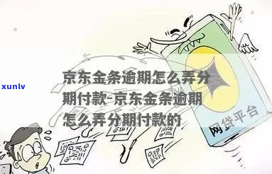 京东金条逾期协商首付款-京东金条逾期协商首付款怎么还