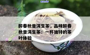 醉春秋普洱茶：醇厚古韵，岁月陈香，品鉴云南原生态茶叶的魅力