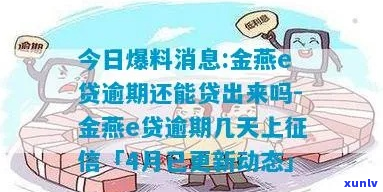 金燕e贷利息逾期怎么办处理方式-金燕e贷逾期了怎么办