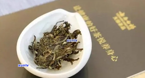 醉春秋普洱茶：醇厚古韵，岁月陈香，品鉴云南原生态茶叶的魅力