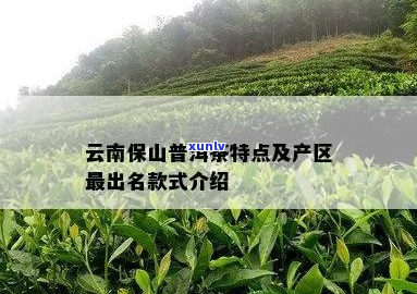 保山普洱茶品种名称：探索这里的特色茶品