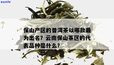 保山产区的普洱茶以哪款最为出名-保山产区的普洱茶以哪款最为出名呢