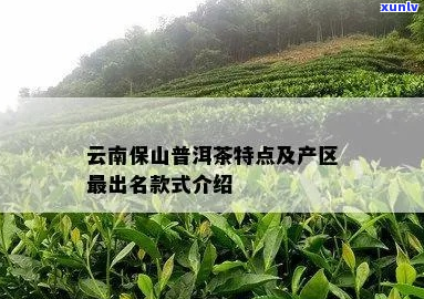 保山出名普洱茶：哪款最知名？产地及特点详解