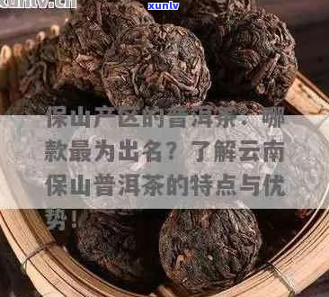 保山出名普洱茶：哪款最知名？产地及特点详解