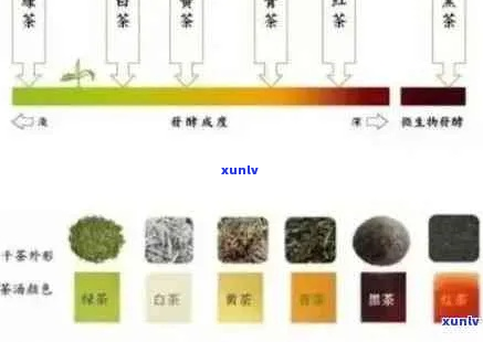 普洱茶色淀物：探究其形成机制和品饮影响