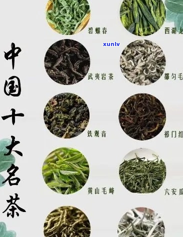 中国顶级茶叶品种一览：从绿茶到红茶，品味文化精髓