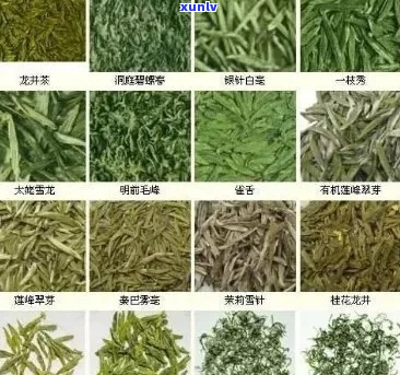 著名茶叶品种大全及价格：十大茶叶品种全解析