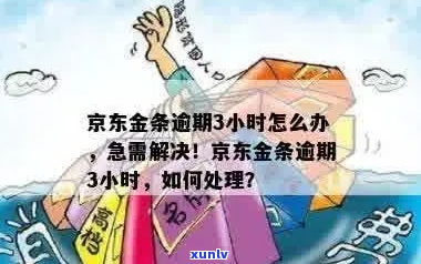 京东金条逾期时间长了怎么办-京东金条逾期时间长了怎么办啊