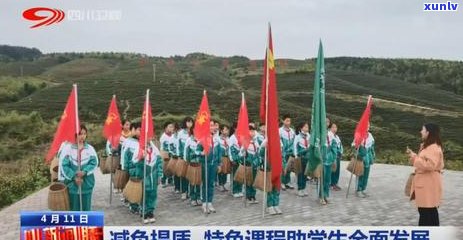 广安茶叶场：地址、在哪里及相关信息