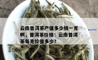 云南原普洱茶价格高吗现在多少钱一斤？