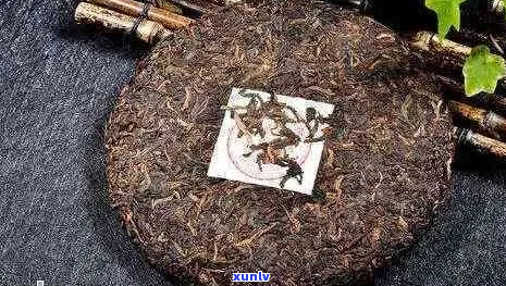 云南原普洱茶价格高吗现在多少钱一斤？