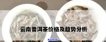 云南普洱茶市场价格分析，选购指南与投资策略