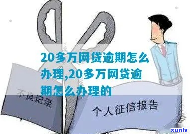 20W网上贷款逾期怎么办处理方式-网贷20多万逾期了暂时还不上怎么办