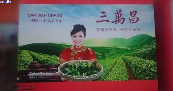 东茶业普洱茶等级：品质与价值如何？