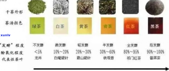 东普洱茶生茶价格及选购指南：如何挑选高品质的生茶？