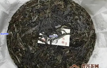 东普洱茶生茶价格及选购指南：如何挑选高品质的生茶？