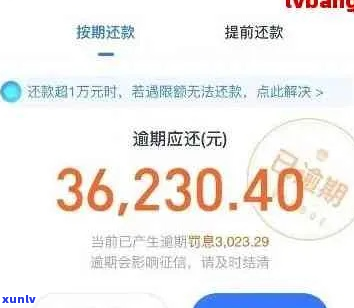 支付宝借呗500逾期会有什么后果-支付宝借呗500逾期会有什么后果吗