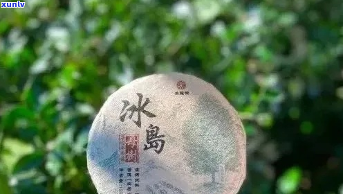 普洱茶冰岛：清甜冰凉的口感体验，独特山野韵味探究