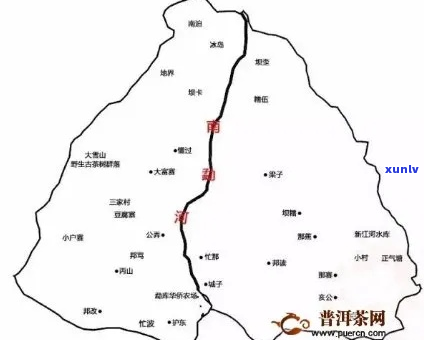 易武野牛洞普洱茶：品质、产地、工艺与口感的全面解析