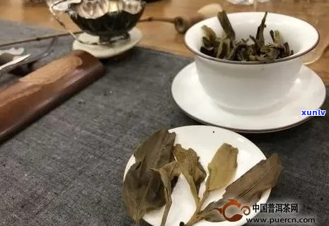 探索正宗老班章茶叶，领略茶界传奇口感