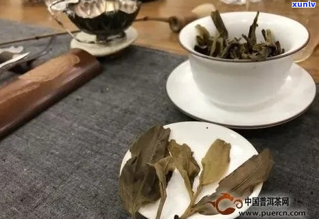 探索正宗老班章茶叶，领略茶界传奇口感