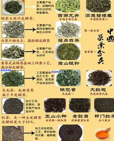 天门茶叶品种繁多，哪一种最适合你？了解各种茶叶的特点与功效