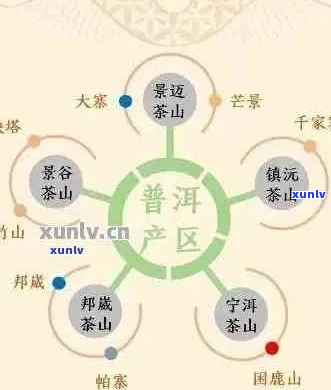 普洱茶8大产区排名榜前十名：口感特点及区别一览