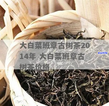 大白菜班章古树茶2014年价格