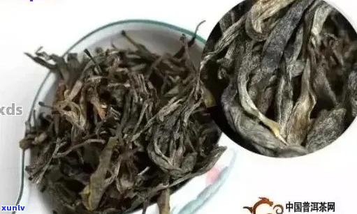 普洱茶真假辨别 *** ：掌握要点，轻松分辨真伪