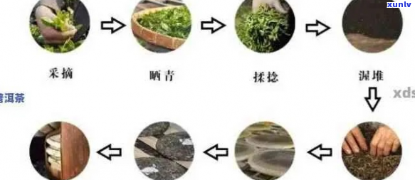 茶叶发酵过程详解：如何 *** 茶叶作为花肥以及注意事项