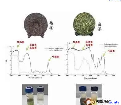 探索青桔普洱茶的全方位效益与潜在风险：一份详尽指南