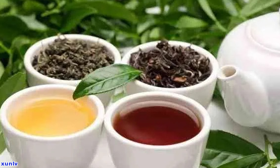 天山牌药茶的全面解析：其神奇功效、作用与适用人群