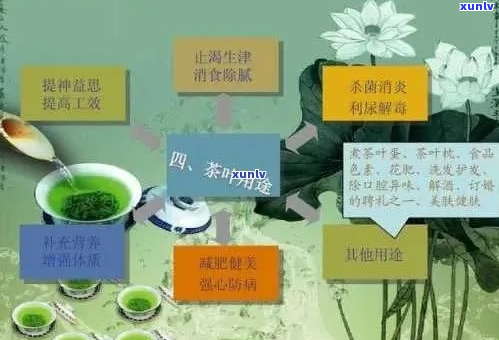 天山牌药茶的全面解析：其神奇功效、作用与适用人群