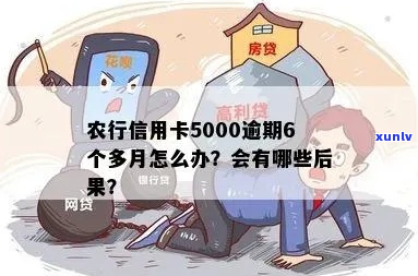 农行信用卡逾期五万多如何处理-农行信用卡逾期五万多如何处理的