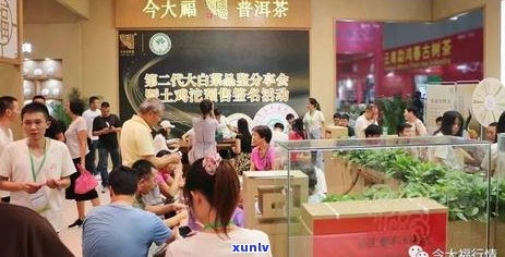 全面解析！今日大福普洱茶价格、品质与选购指南，助您轻松成为茶叶专家