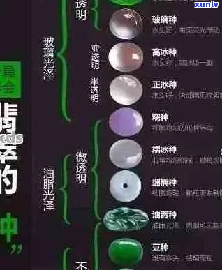 翡翠分级：从颜色、透明度到切割工艺的全方位详解，价格分析一应俱全！