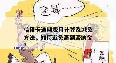 信用卡逾期滞纳金减免技巧-信用卡逾期滞纳金减免技巧是什么