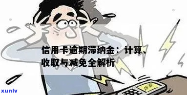 信用卡逾期滞纳金减免技巧-信用卡逾期滞纳金减免技巧是什么