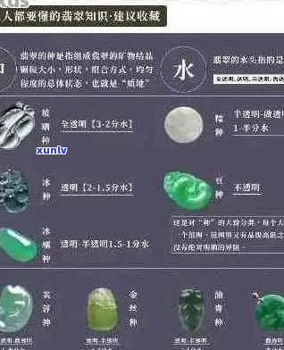 翡翠鉴定分级新 *** ：权威标准与实用技巧结合